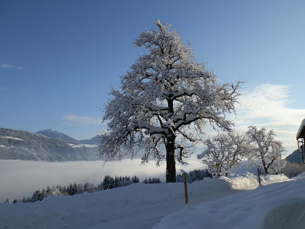Апартаменты Kollerhof Шланитцен Экстерьер фото